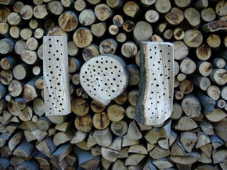 Insekten-Hotel natur. Hergestellt aus naturbelassenen Hartholz (in der Regel Buche). Diese Insekten-Hotels k&ouml;nnen im Balkonbereich, an der Gartenlaube oder an der Jagdeinrichtung angebracht werden. Eine Aufh&auml;ngevorrichtung erleichtert den sofortigen Einsatz. Sinnvoller Artenschutz und dekoratives Element.