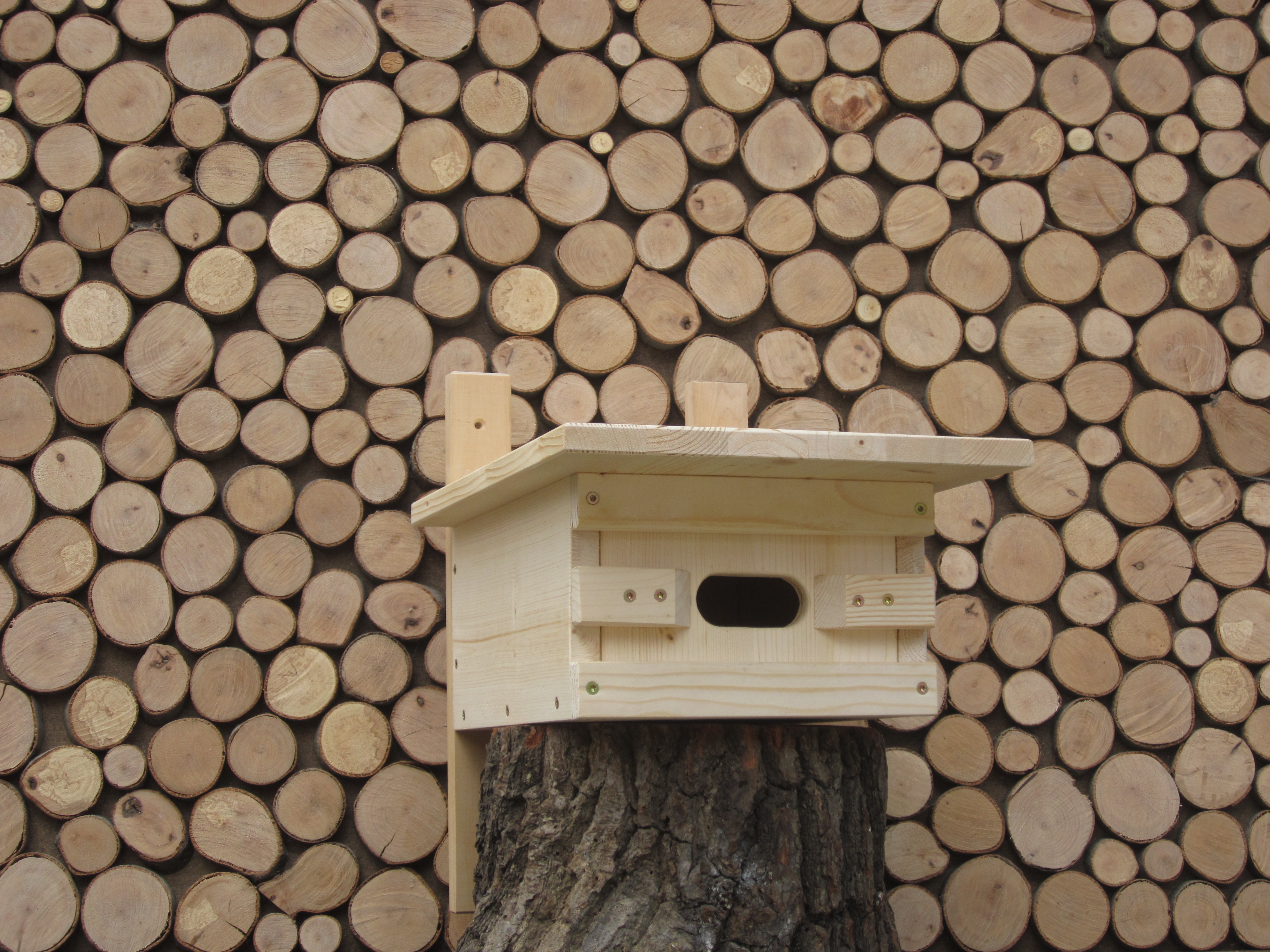 Nisthilfe f&uuml;r Mauersegler aus unbehandeltem Fichtenholz. Materialst&auml;rke 18 - 22 cm. Verbindungen verschraubt. Einflugloch oval 7,5 x 3,2 cm.
Die Einflugseite ist ohne Werkzeug zu &ouml;ffnen.
Abmessungen: Total H 17 B 30 T 40 cm, Grundfl&auml;che des Nistkasten B 20 T 26 cm.